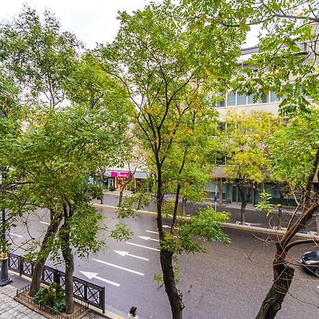 Vip Apartamen Nizami Street Apartman Baku Kültér fotó