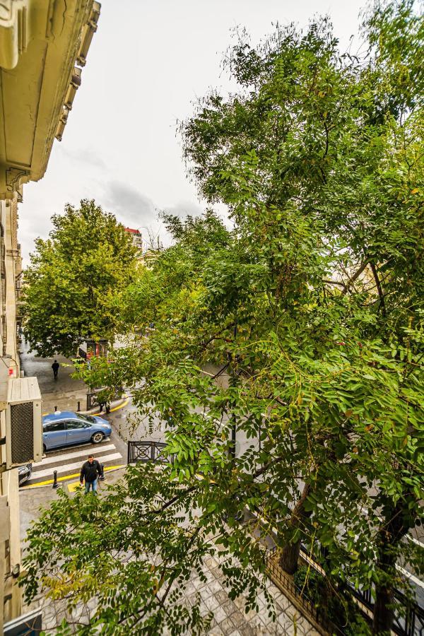 Vip Apartamen Nizami Street Apartman Baku Kültér fotó